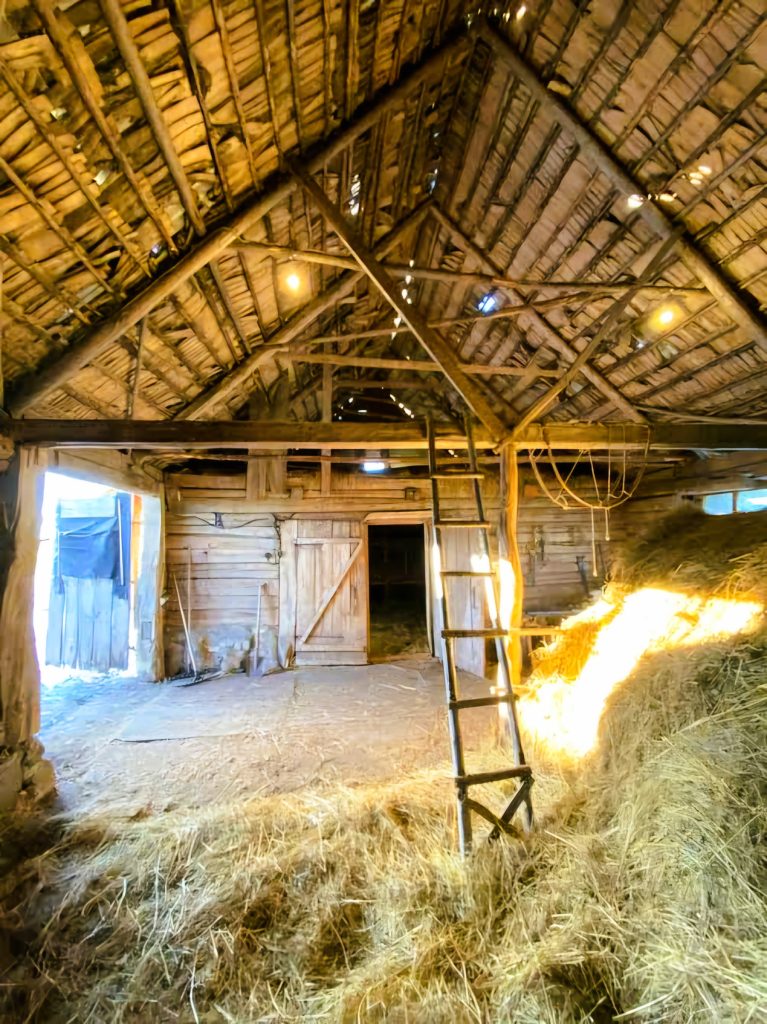 Svirnas , šieno kvapas